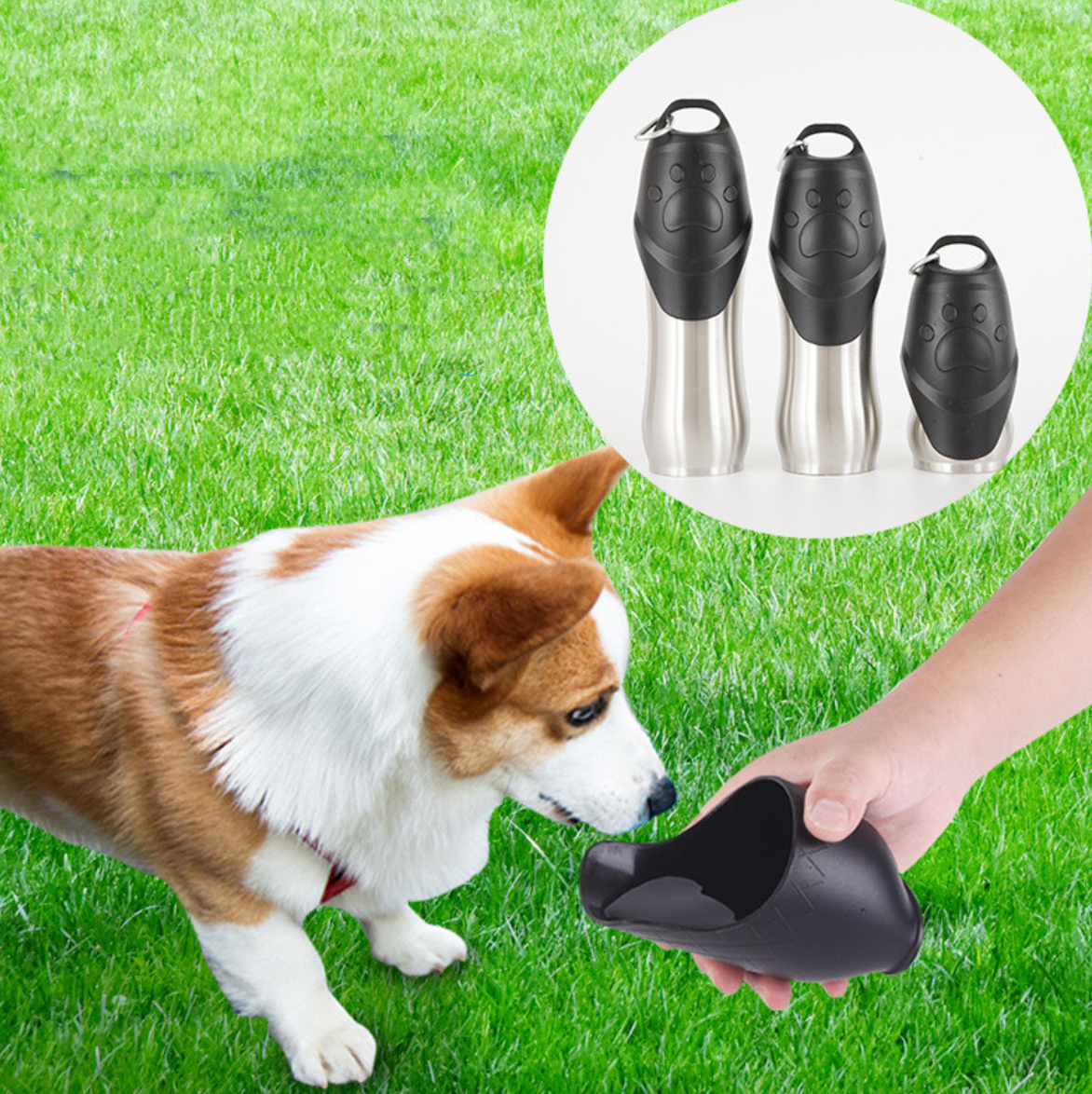 Portable Pet Drinking Bottle