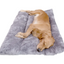 Plush Pet Bed