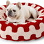 CozyPaw All-Season Bed