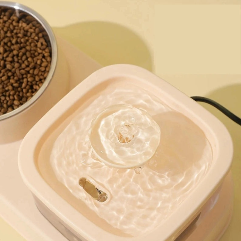 2-in-1 Cat Water Fountain & Feeding Bowl