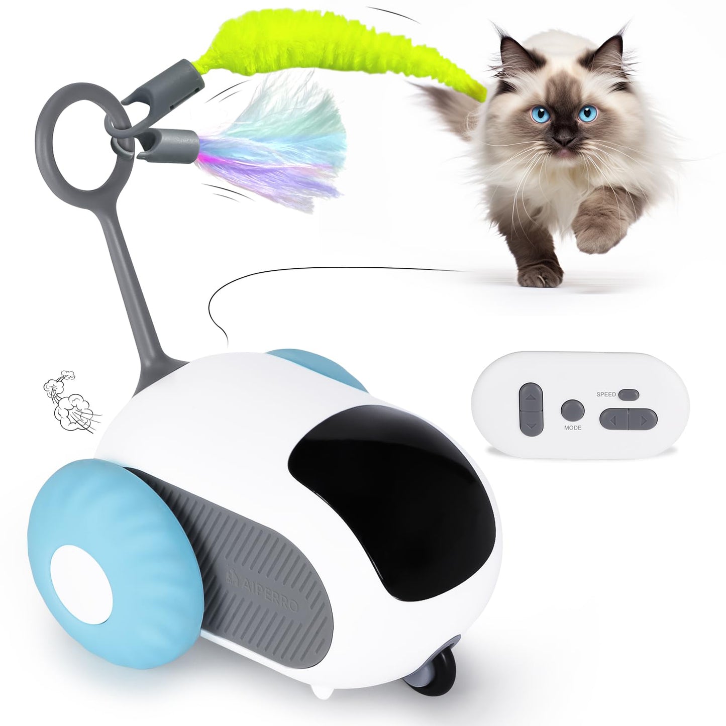 AutoPlay Pet Chase Car