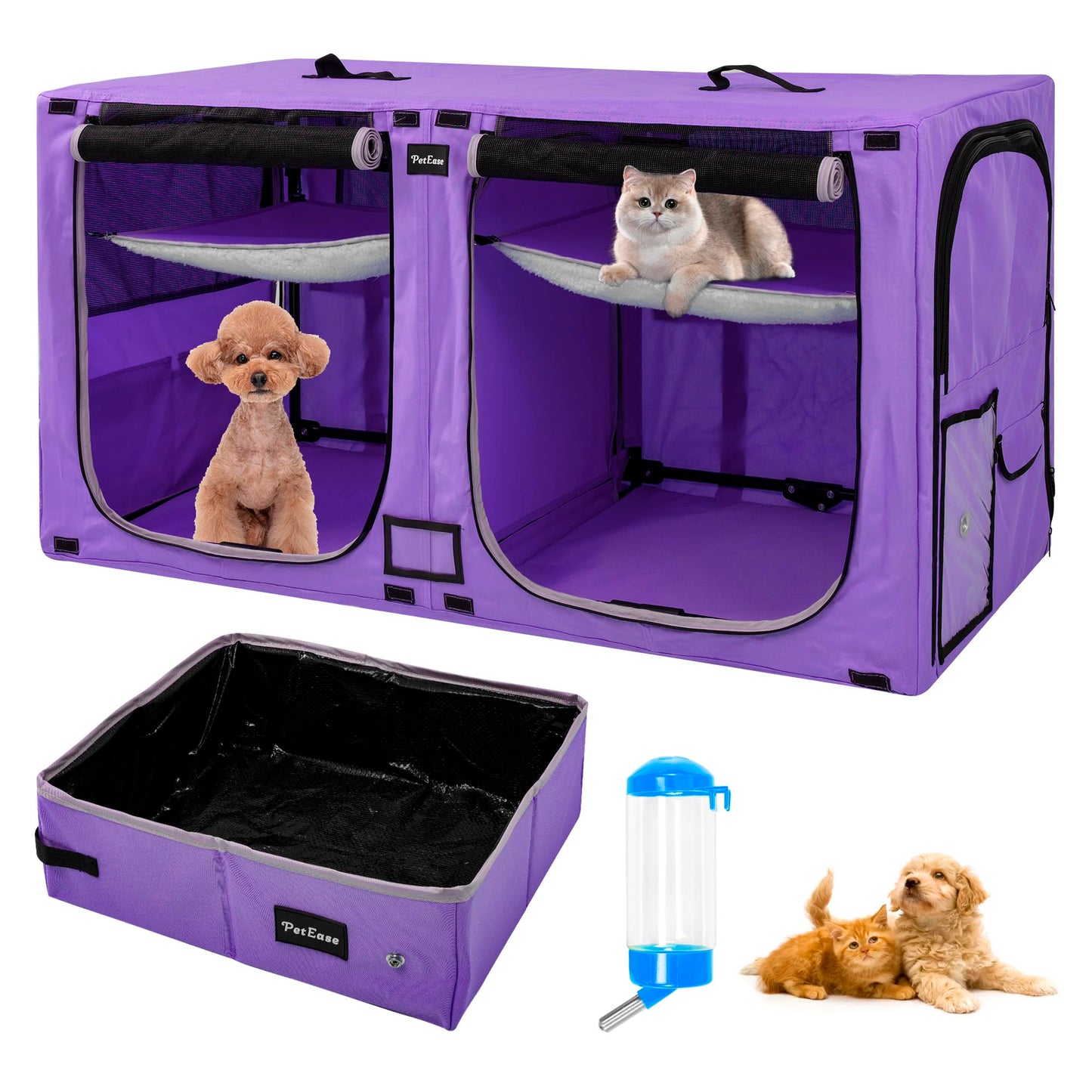 Dual Cat Show House With Comfort Add-Ons