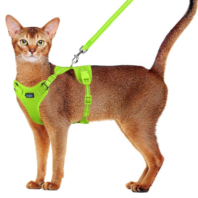 Adjustable Cat Harness & Leash Set