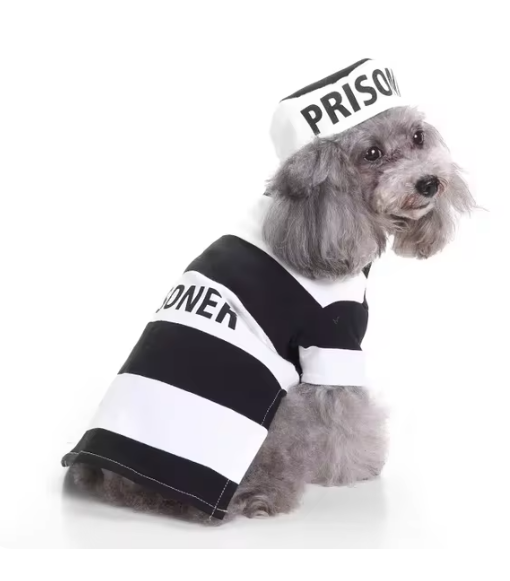 Dog Prison Costume