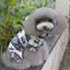 Thick Velvet Dog Outfit for Pets (Deer Design)