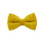 Chic Velvet Pet Collar