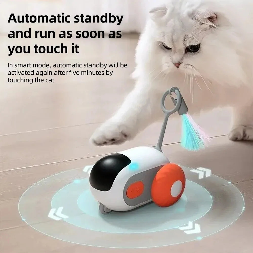 AutoPlay Pet Chase Car