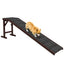 SafeStep Canine Ramp with Carpet & Platform