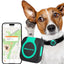 Compact Woyamay GPS Tracker for Pets with Real-Time Monitoring
