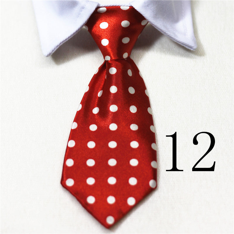 Trendy Dog & Cat Accessory Shop