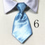 Trendy Dog & Cat Accessory Shop