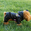 Autumn Winter Pet Down Cotton Jacket for Dogs