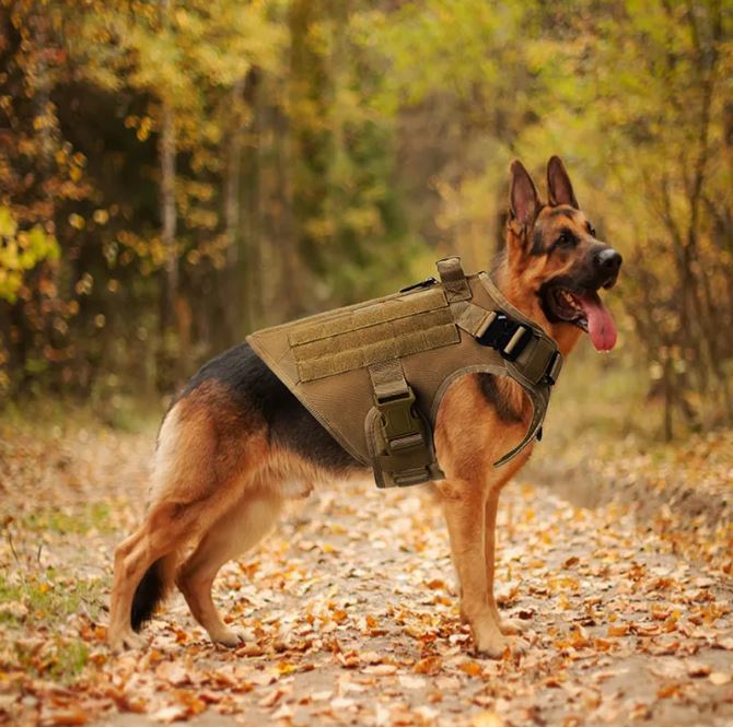 Tactical Vest for Large Dogs