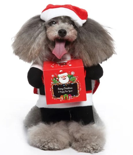 Euro-American Pet Couture