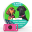 Flea & Tick Prevention Collar