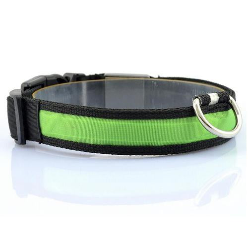 LED Dog Collar with Light Strip for Illumination