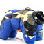Dog Winter Clothes