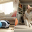 AutoPlay Pet Chase Car