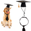 Dog Doctor Hat and Tie for Pet Supplies