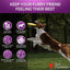 Complete Dog Health Chews - Glucosamine & Vitamin Enhanced