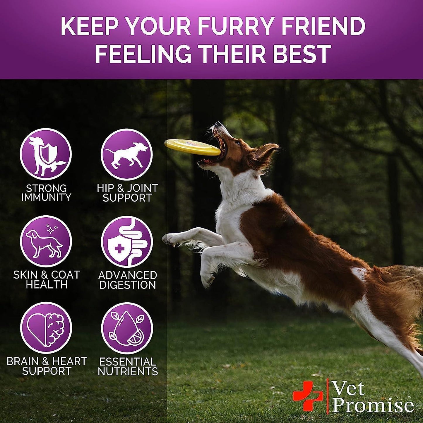 Complete Dog Health Chews - Glucosamine & Vitamin Enhanced