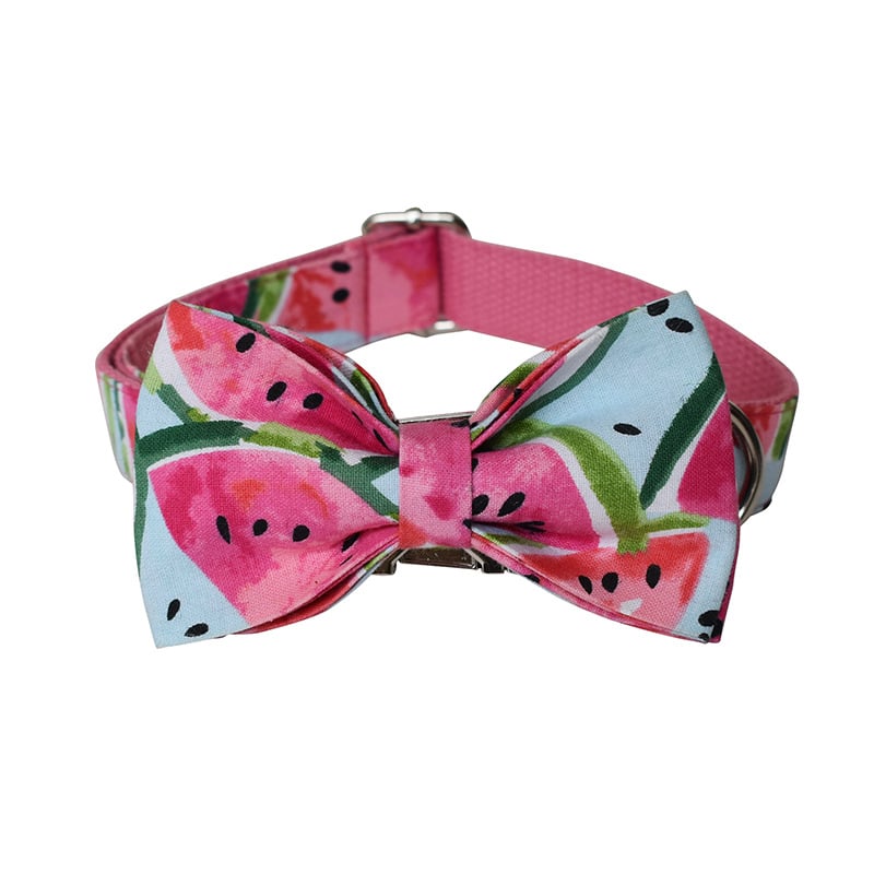 Watermelon Dog Collar and Leash Pet Supplies