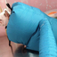 Pet Drying Cube: Dryer & Bag