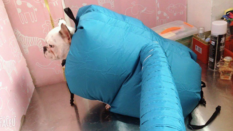 Pet Drying Cube: Dryer & Bag