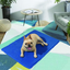 Pet Ice Silk Cooling Mattress for Summer Comfort