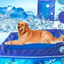 Pet Summer Cooling Ice Mat for Ventilation