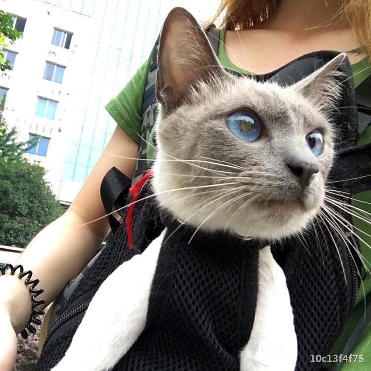 Compact Pet Travel Backpack