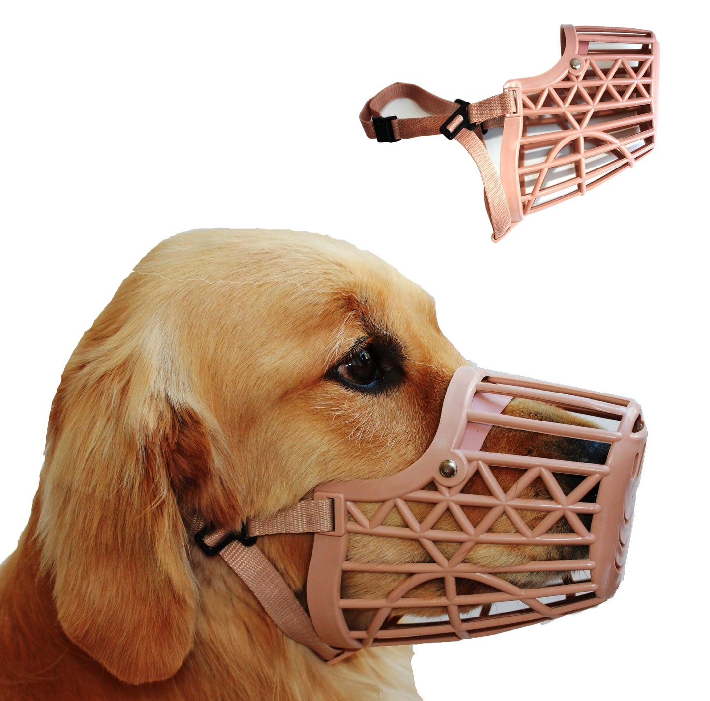 Downtown Pet Supply - Basket Muzzle - Cage Dog Muzzle Prevents Barking Biting and Chewing - Dog Grooming & Dog Housebreaking Supplies - Beige - Size 1 - XXS - Muzzle for Small Dog
