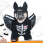 Dog Black Bat Halloween Costume