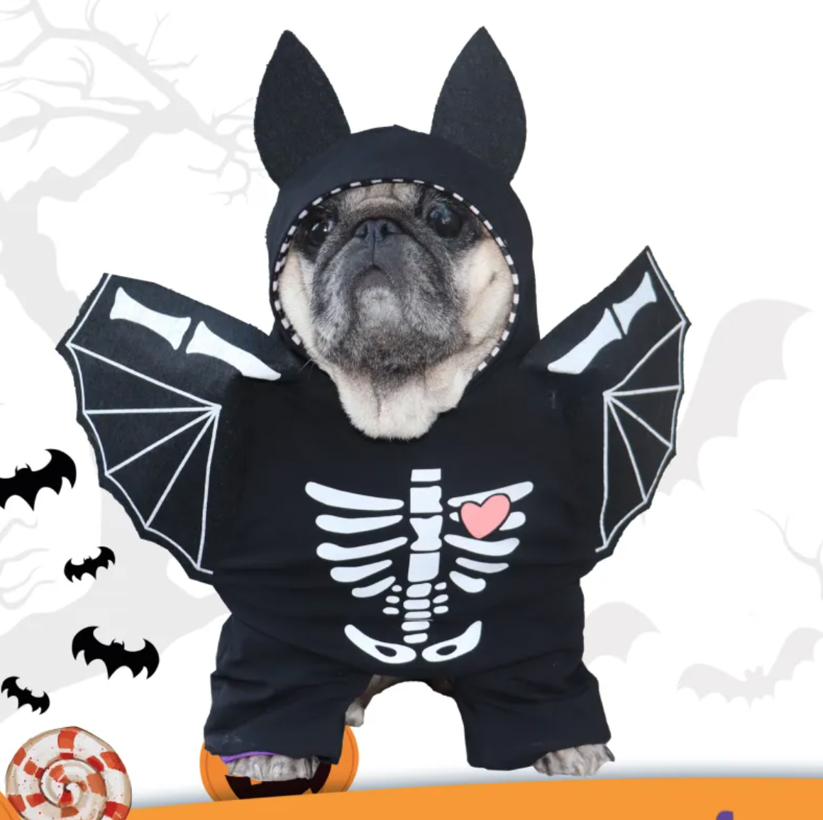 Dog Black Bat Halloween Costume