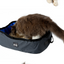 Portable Folding Cat Litter Box - Pet Supplies