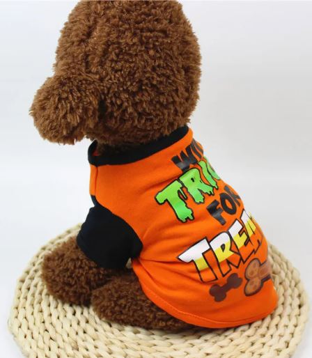 Cats & Small Dogs Halloween T-Shirt