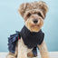 Autumn Winter Pet Supplies Set with Skirt Sweater