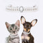 Pet Supplies Hand-Holding Rope Collar for Small Dogs